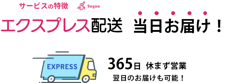 エクスプレス配送当日お届け！